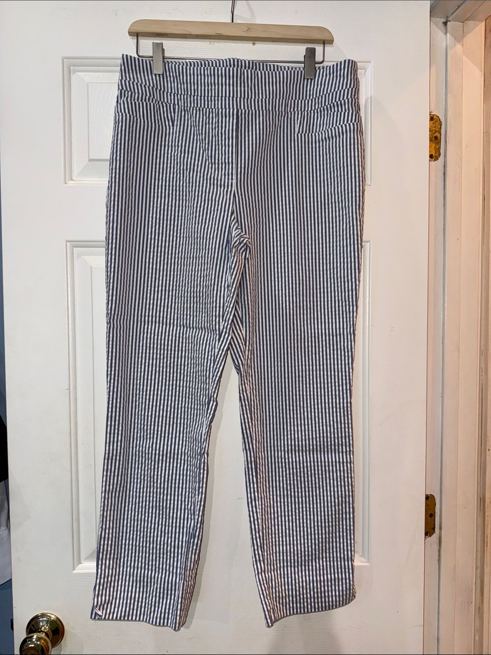 Renuar Blue and White Striped Cropped Pants
